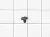 SCREW – Part Number: 316418901