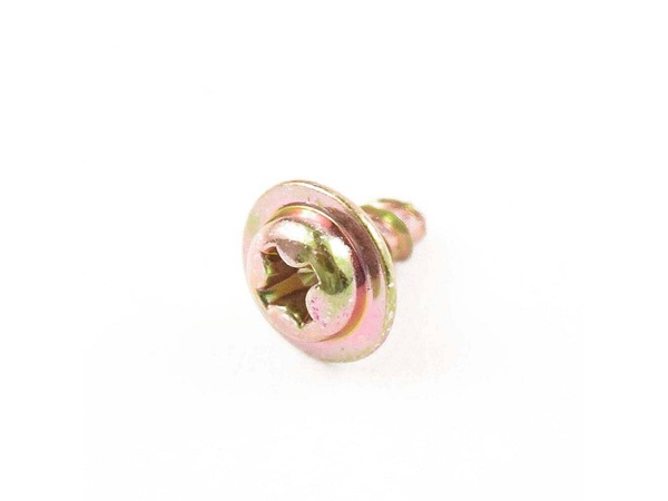 979670-1-M-Frigidaire-5304440866        -SCREW