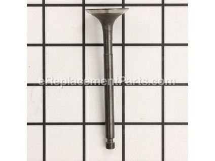 9866198-1-M-Powermate-0064381-Exhaust valve