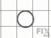 Seal Ring – Part Number: 079027004168