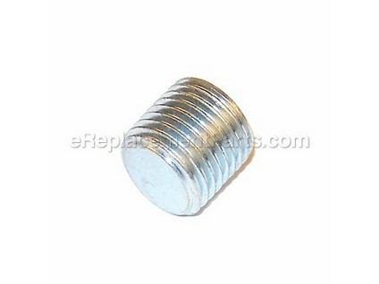 9870722-1-M-Ridgid-079027007011-End Plug