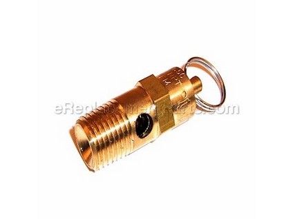 9870729-1-M-Ridgid-079027007019-Safety Valve