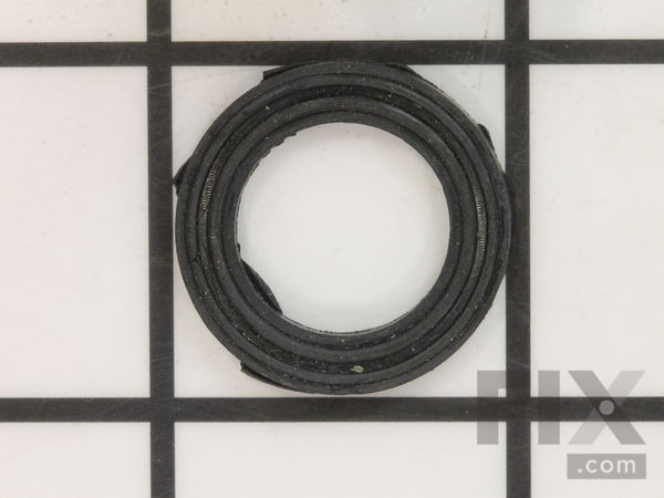 9870965-1-M-Ridgid-079027009099-Washer