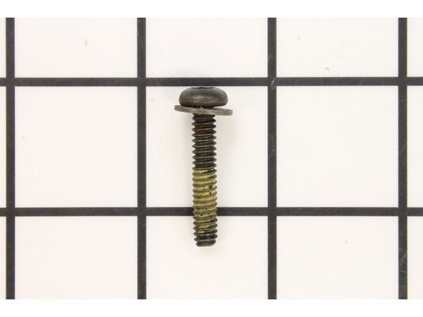 9872307-1-M-Ryobi-093221-Screw (Torx Pan Hd. Sems)