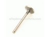 Valve-Intake – Part Number: 12004-7004