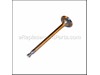 Valve-Intake – Part Number: 120042074