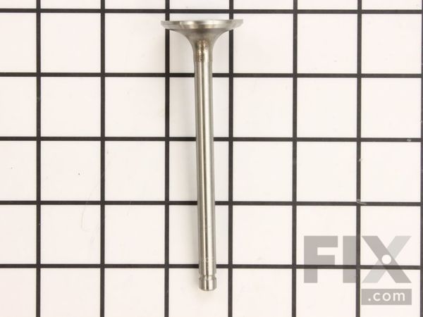 9883695-1-M-Kohler-1201601-S-Valve, Exhaust
