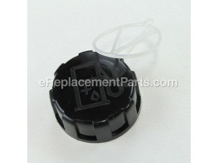 9887560-1-M-Echo-13100409060-Cap Assembly