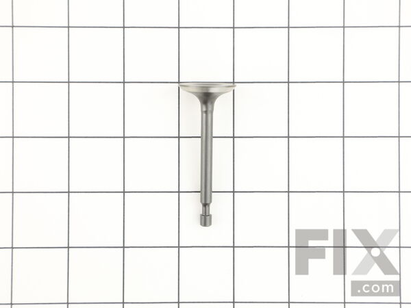 9890845-1-M-Kohler-1401701-S-Valve: Intake