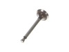 9893565-2-S-Honda-14711-ZE0-010-Valve- In.