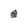 9898051-2-S-Honda-16100-Z0H-053-Engine Carburetor Assembly