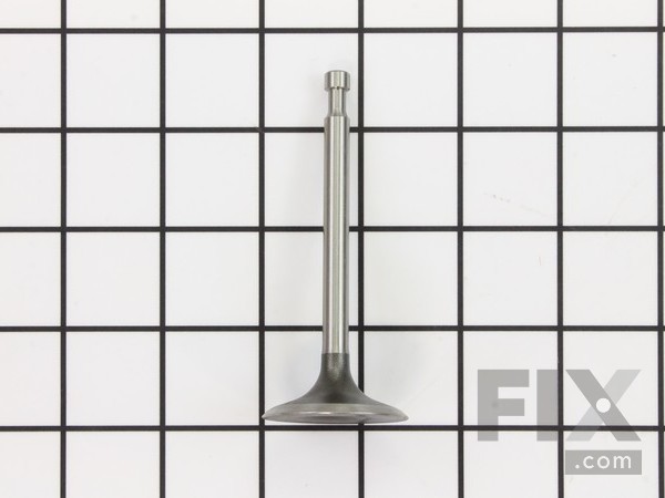 9901894-1-M-Kohler-1701707-S-Valve: Intake