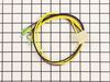 Harness: Regulator Wiring Assy – Part Number: 1717603-S