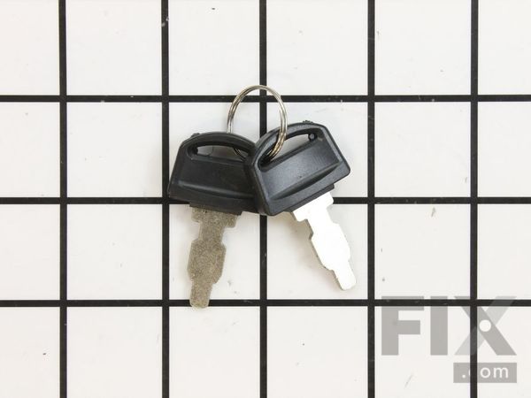 9904673-1-M-Kohler-1734011-S-Keys For Switch