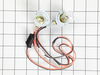 Lawn Tractor Headlight Wire Harness – Part Number: 175688