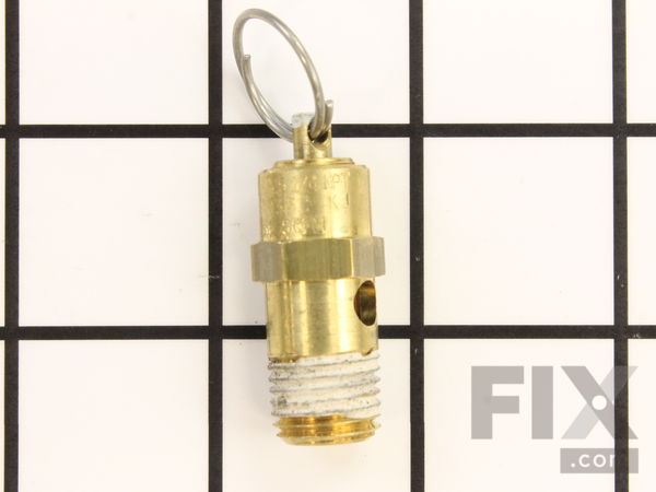 9909015-1-M-Ridgid-17798-Safety Valve