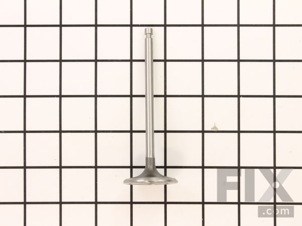 9917781-1-M-Kohler-2001701-S-Valve: Intake