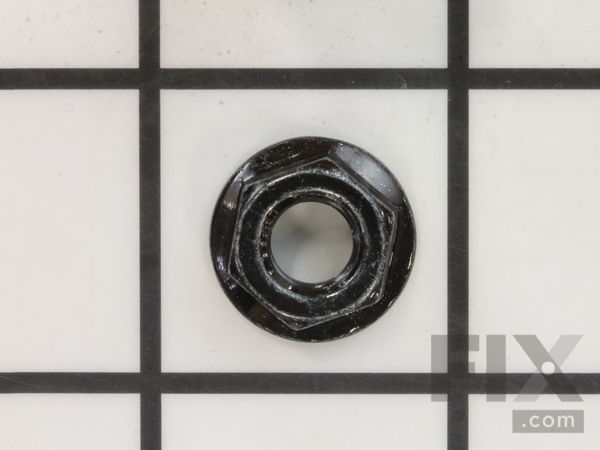 9919002-1-M-Ridgid-20428-Nut, 5/16" (4)