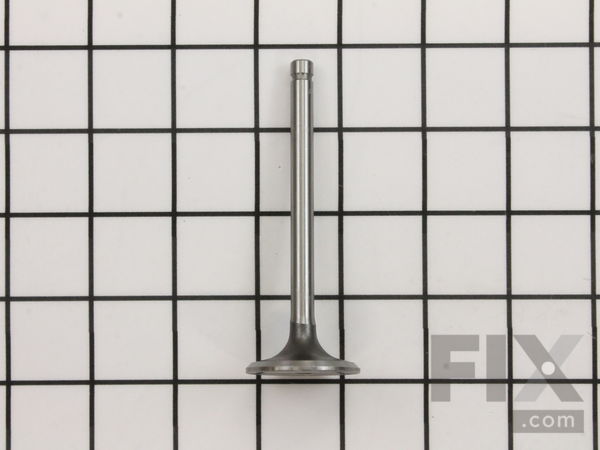 9926223-1-M-Kohler-2401701-S-Valve: Intake (std)
