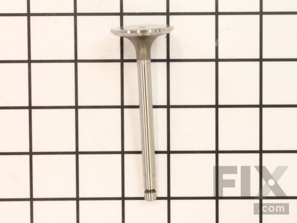 9926225-1-M-Kohler-2401702-S-Valve: Intake (.25)