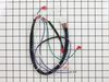 9927322-1-S-Kohler-2417682-S-Harness: Wiring