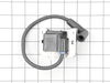 Trimmer Module Ignition – Part Number: 2458436-S