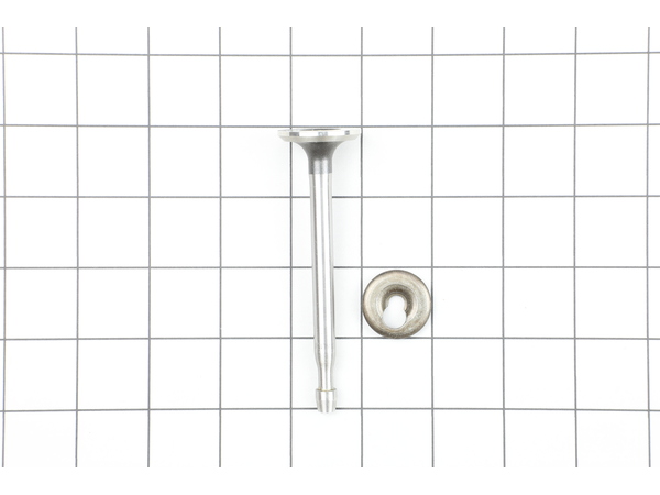 9933415-1-M-Craftsman-27878A-Exhaust Valve