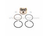 Piston W/ring Set (std) – Part Number: 2887402-S