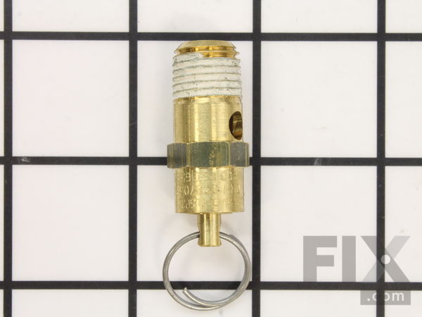 9937424-1-M-Ridgid-30543-Safety Valve-200Psi
