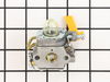 Carburetor – Part Number: 308054027
