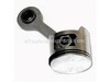 Piston Assembly Kit – Part Number: 308119002