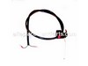 Throttle Cable Assembly – Part Number: 308641003