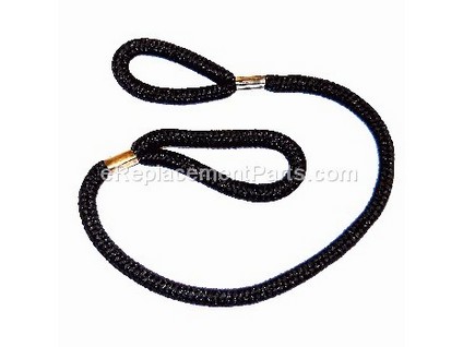 9939308-1-M-Homelite-310715001-Lanyard