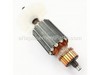Armature 120v – Part Number: 310901