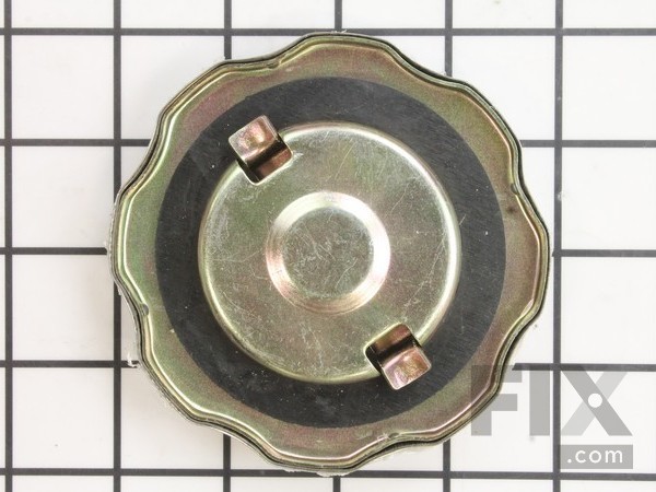 9939955-1-M-Briggs and Stratton-311990GS-Cap, Fuel