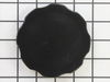 Cap, Fuel – Part Number: 316670GS