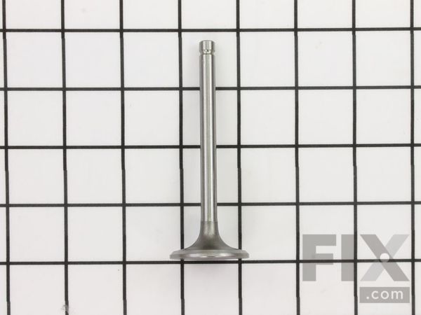 9942084-1-M-Kohler-3201701-S-Valve: Intake