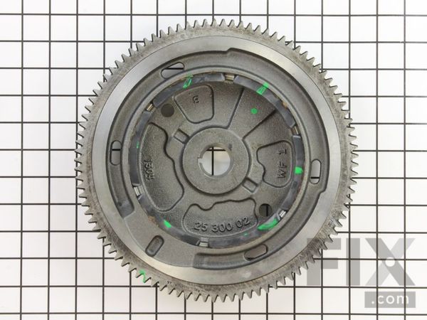 9942093-1-M-Kohler-3202521-S-Flywheel Assembly