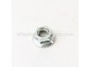 Blade Nut, M10 – Part Number: 3221037G