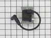 Module: Ignition – Part Number: 3258406-S