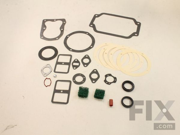 9952815-1-M-Kohler-4175517-S-Kit: Overhaul