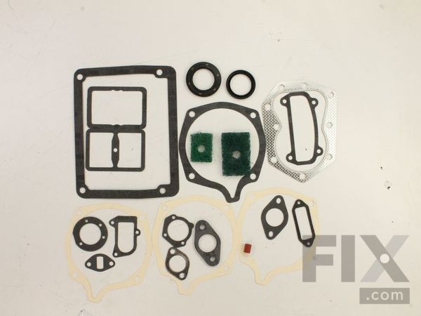 9957690-1-M-Kohler-4775508-S-Kit: Overhaul