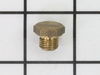 Screw Plug – Part Number: 5.411-070.0