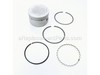 9966525-1-S-Kohler-5287411-S-Kit: Piston W/ring Set Std