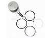 Kit: Piston W/ring Set .010 – Part Number: 5287413-S