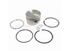 9966529-1-S-Kohler-5287415-S-Kit, Piston W/ring Set .030