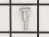 Intake Valve – Part Number: 530023148