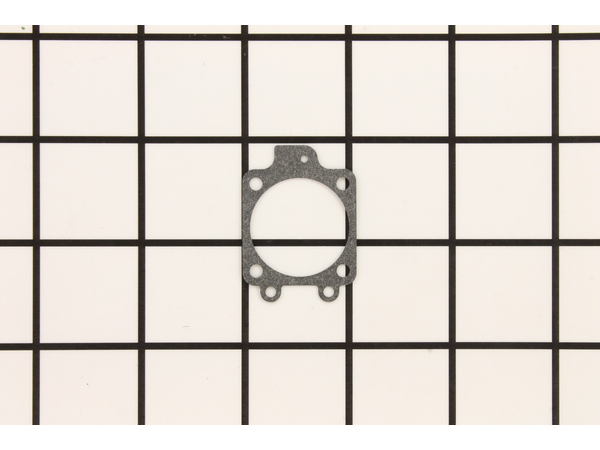 9968771-1-M-Paramount-530035151-Gasket-Metering Diaphragm
