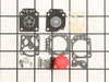 Carburetor Repair Kit – Part Number: 530069811