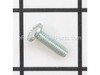 Screw – Part Number: 534136401